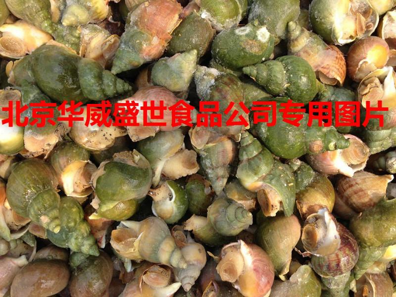 供應(yīng)進口加拿大翡翠螺