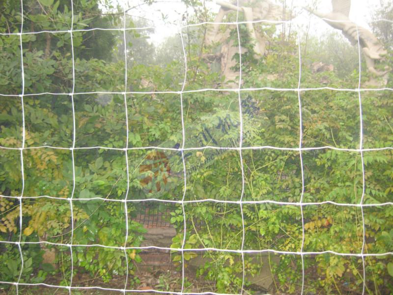 供應(yīng)牛欄網(wǎng)機