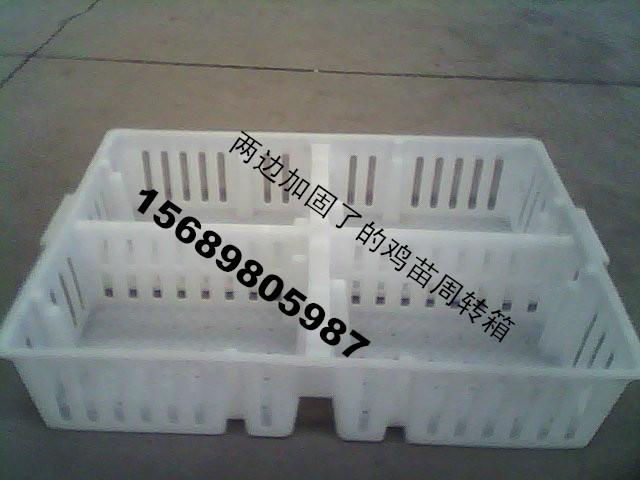 雞周轉箱圖片/雞周轉箱樣板圖 (3)