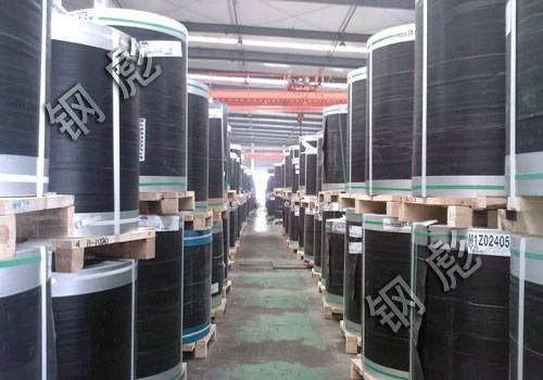 供應(yīng)澳洲博思格恒麗板 博思格捷彩板 寧波博思格絢彩板