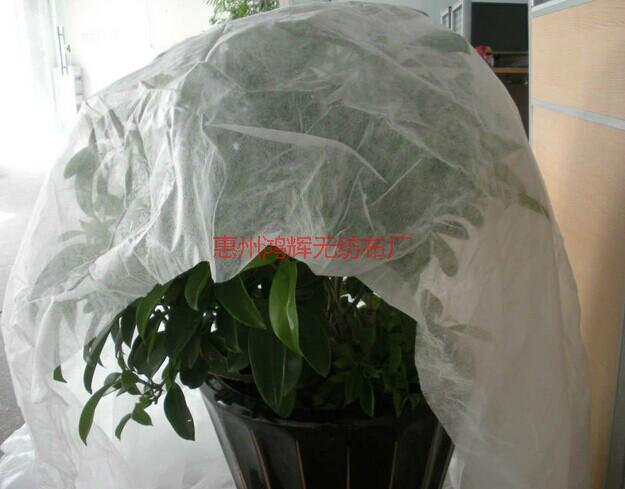 供應(yīng)防蟲害無紡布 防寒無紡布 保溫?zé)o紡布 保濕無紡布