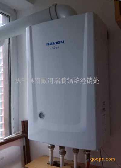 供應(yīng)秦皇島家用采暖熱水兩用燃?xì)獗趻鞝t