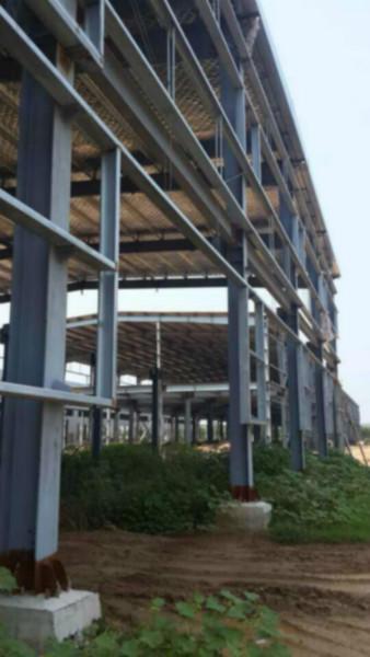 供應(yīng)鋼結(jié)構(gòu)工程 建筑鋼結(jié)構(gòu)工程技術(shù) 鋼結(jié)構(gòu)網(wǎng)架屋面