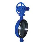 供應(yīng)不銹鋼低溫蝶閥