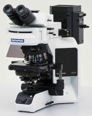 供应全功能型奥林巴斯BX53显微镜图片