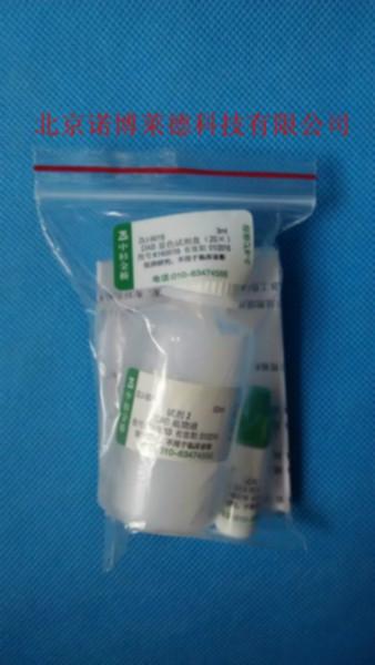供應(yīng)DAB顯色試劑盒(20×)生化試劑現(xiàn)貨