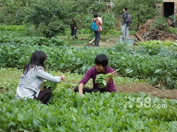 深圳市特价农家乐一日游深圳天下第一农庄厂家