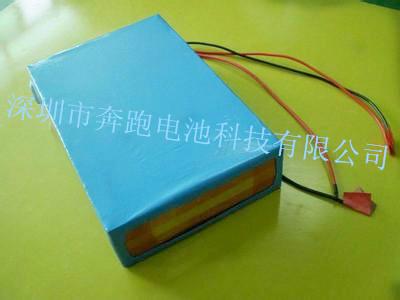 供应深圳电动车电池供应/广东电动车电池供应/电动车电池生产厂家图片