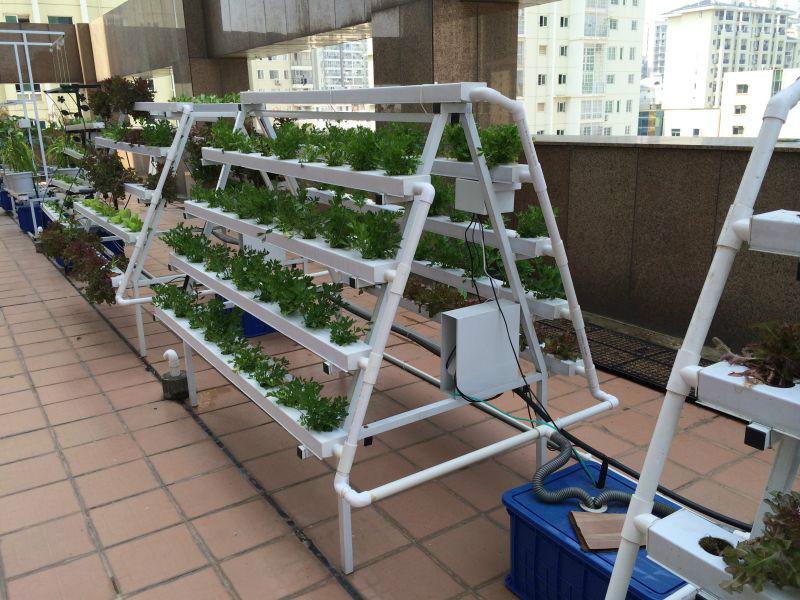 供應(yīng)用于無土栽培體驗的學(xué)校農(nóng)業(yè)科技體驗基地?zé)o土栽培設(shè)備 農(nóng)業(yè)科技溫室體驗基地?zé)o土栽培設(shè)備