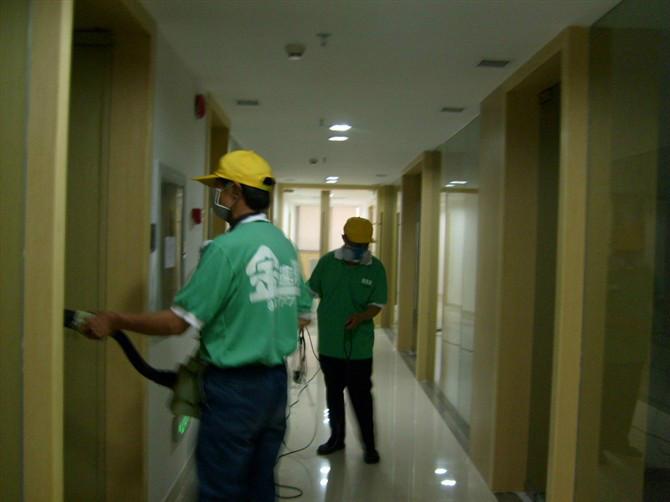 殺蟑螂圖片/殺蟑螂樣板圖 (4)