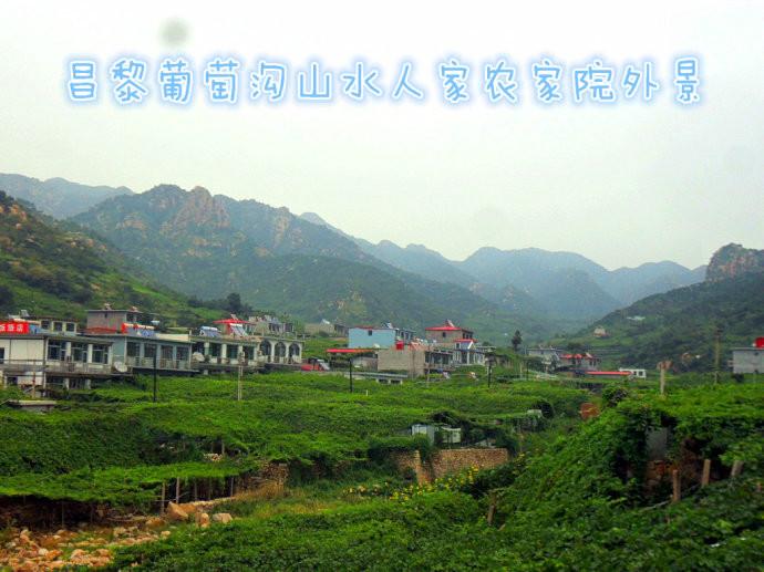 供應(yīng)昌黎葡萄溝度假村住宿--昌黎葡萄溝山水人家農(nóng)家院