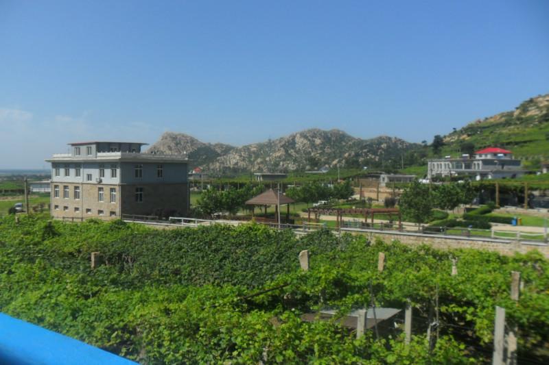 供應(yīng)自助游--昌黎葡萄溝山水人家農(nóng)家院