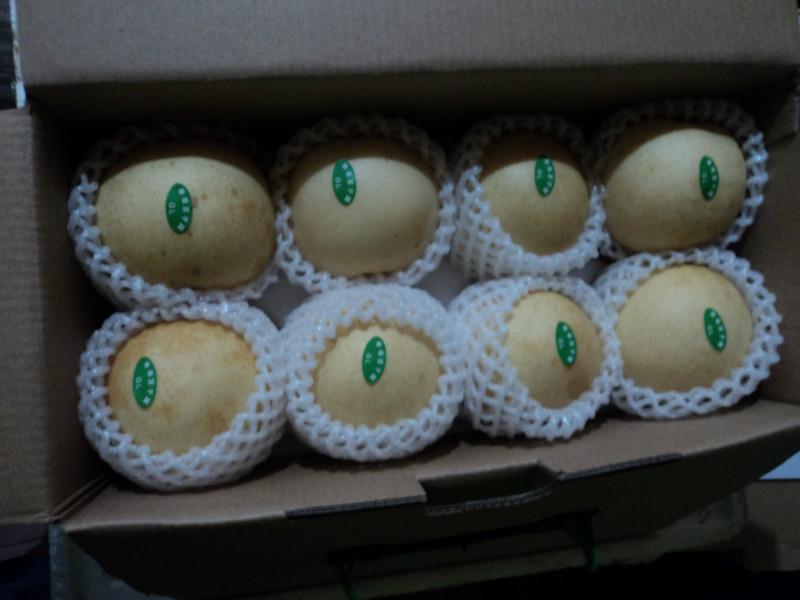 供應(yīng)山黃桃炎陵黃桃高山百子園錦繡黃桃種植供應(yīng)商