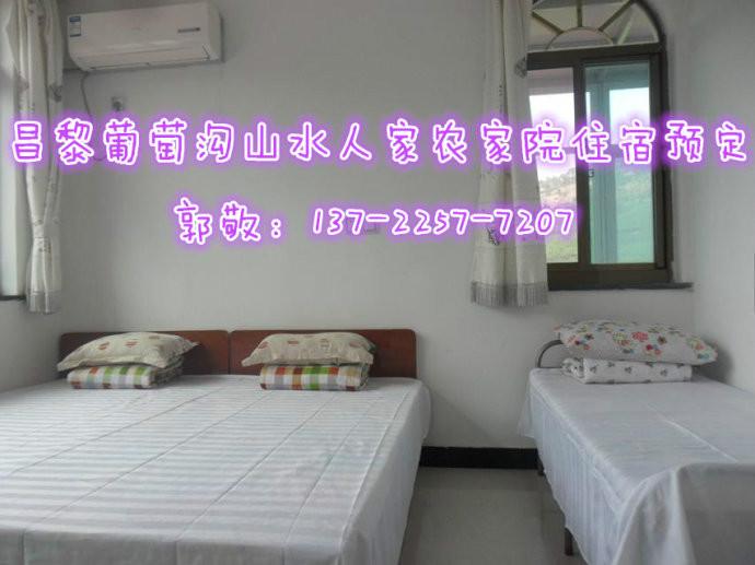 供應(yīng)秦皇島旅游農(nóng)家院住宿--昌黎葡萄溝山水人家農(nóng)家院