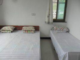 昌黎葡萄圖片/昌黎葡萄樣板圖 (4)