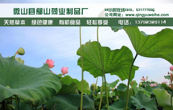 供應(yīng)微山湖新品*荷葉茶荷葉的價(jià)格