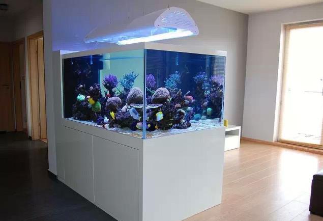 大型海水觀賞魚缸海水魚缸造景設(shè)計圖片