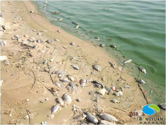 水體圖片/水體樣板圖 (2)