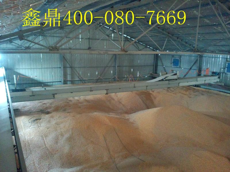 供應(yīng)南昌米倉(cāng)平板輸送機(jī)廠家