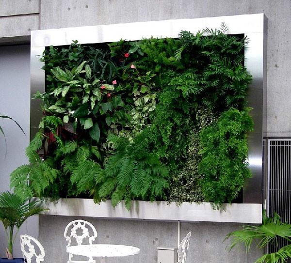 陜西綠植墻圖片