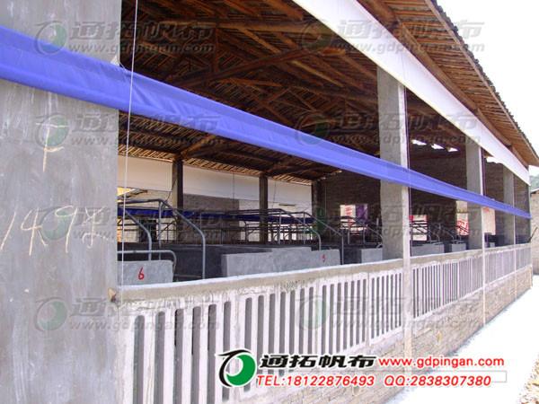 通拓品牌卷簾廠-三亞防曬透氣卷簾圖片