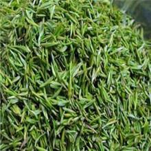 供應(yīng)明前碧螺春茶葉_蘇州東山明前碧螺春茶葉_蘇州東山明前碧螺春茶葉價(jià)格