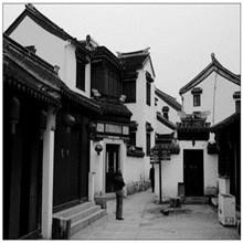 供應(yīng)蘇州東山碧螺春新茶制作_蘇州東山碧螺春新茶品牌_蘇州東山碧螺春報價