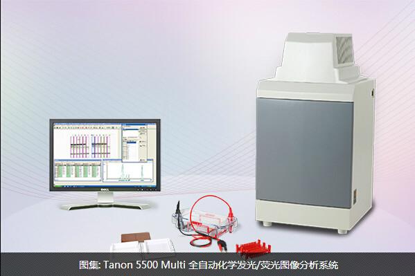 供应Tanon5500Multi荧光图像分析系