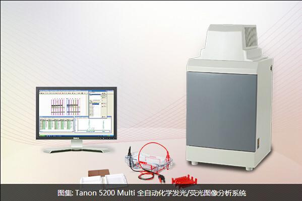 供应Tanon5200Multi荧光图像分析系