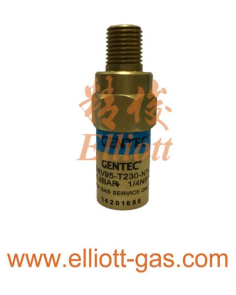 供應(yīng)捷銳RV95系列杜瓦瓶低溫安全閥 B-RV95-T230-NT4 工業(yè)氣體黃銅安全閥