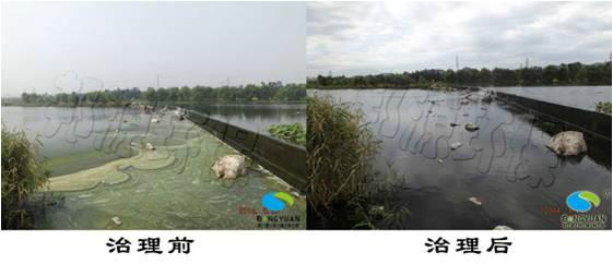 蓮石湖水體富營養(yǎng)化治理圖片