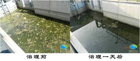 供應城市河道河泛成因及其治理的探究