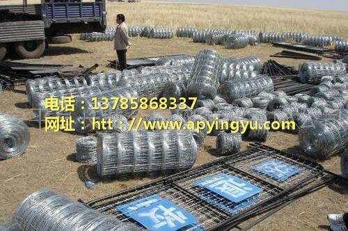 供應(yīng)草原圍欄網(wǎng)草原網(wǎng)規(guī)格