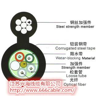 GYTC8S中心束管式光缆厂家直销图片