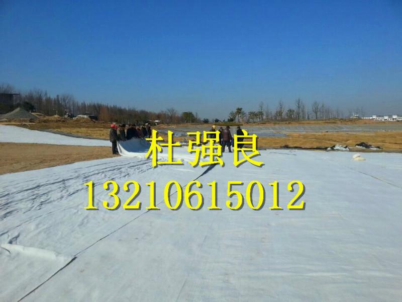 供應(yīng)2015年養(yǎng)殖地膜價(jià)格_hdpe土工膜/復(fù)合土工膜實(shí)時(shí)報(bào)價(jià)