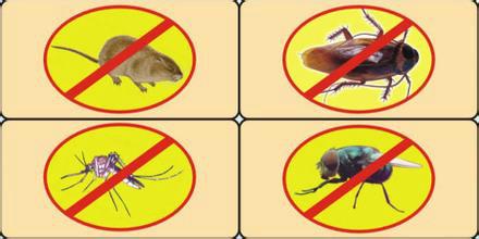 供應(yīng)昆明官渡區(qū)酒店滅老鼠公司，昆明官渡區(qū)酒店滅老鼠公司服務(wù)熱線