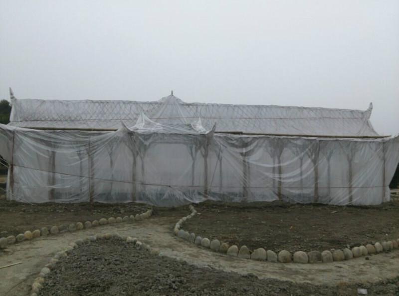 供應(yīng)紫薇長(zhǎng)廊_紫薇走廊_紫薇廊架_紫薇造型