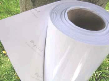 供應(yīng)相片紙寫真制作價格 高清相紙印刷 寫真噴繪