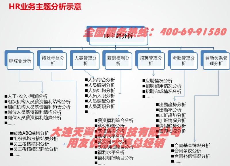 大连用友U8U9定制开发实施图片