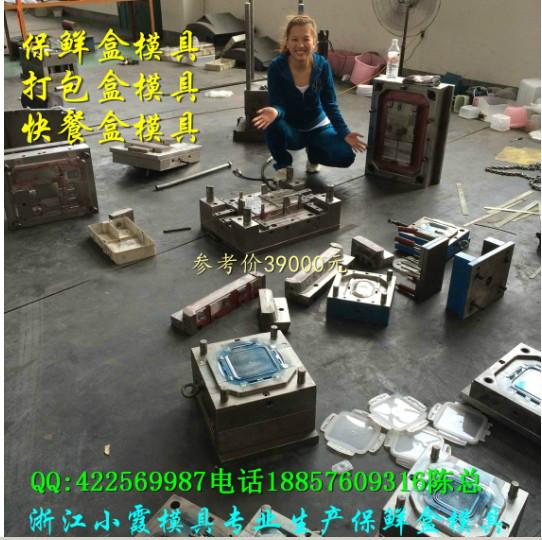 供應(yīng)500毫升一次性保鮮盒模具應(yīng)