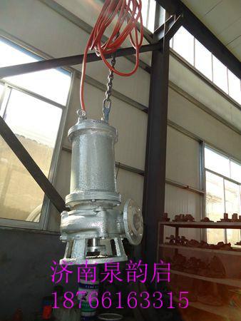 無堵塞潛污泵圖片/無堵塞潛污泵樣板圖 (2)