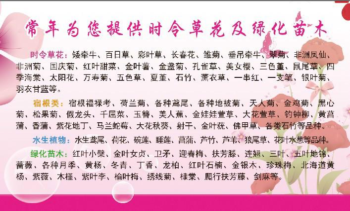 供應(yīng)八寶景天