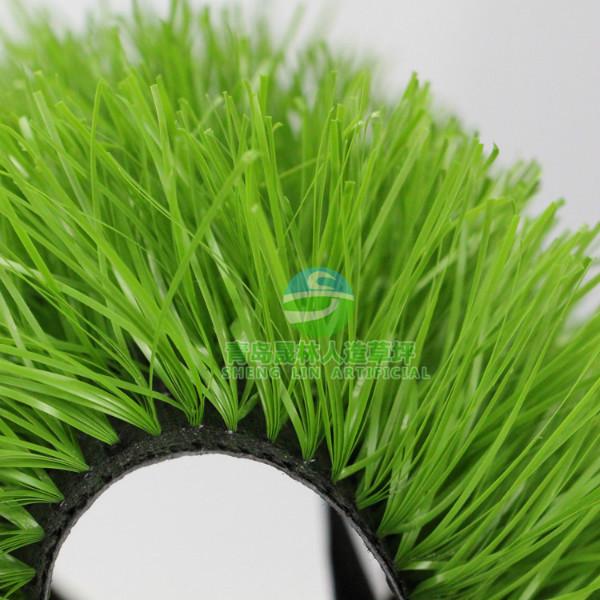 供應晟林足球場*草坪