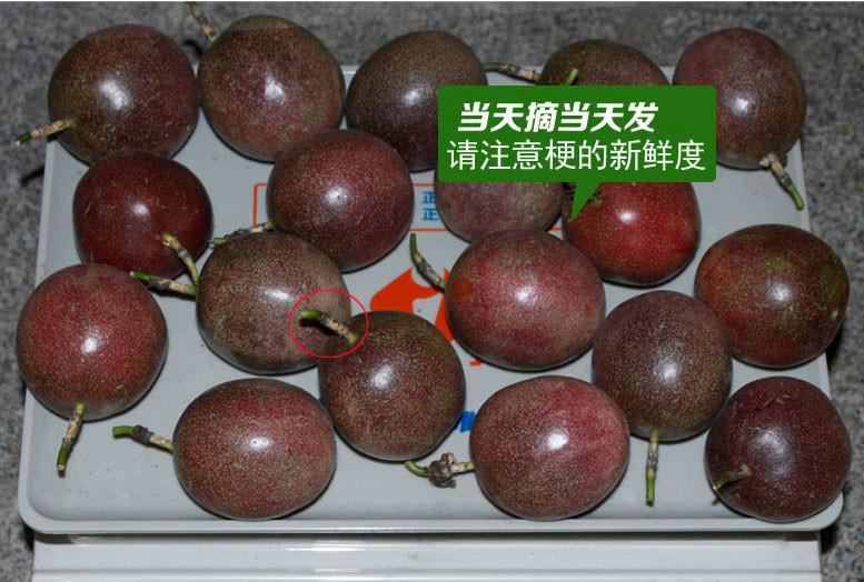 廣西雞蛋果供應(yīng)批發(fā)價格、百香果批發(fā)供應(yīng)電話