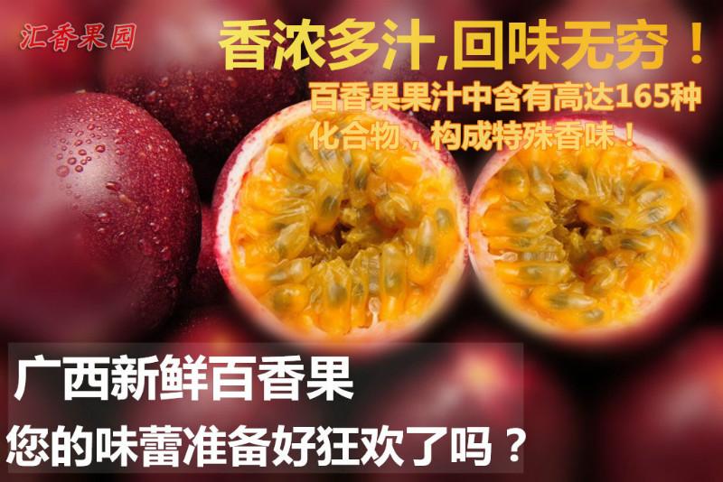 供應廣西百香果供應