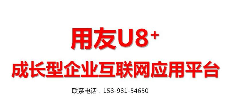 供应大连OA和用友软件财务软件ERP厂商