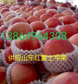 供應(yīng)水果批發(fā)市場(chǎng)廣州紅富士蘋(píng)果價(jià)格