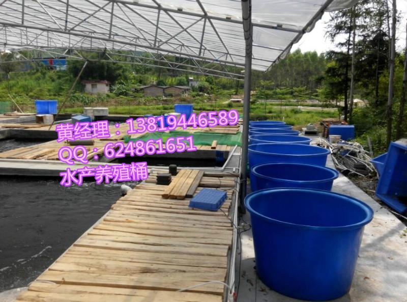 供應水產(chǎn)養(yǎng)殖桶魚類養(yǎng)殖車間化水產(chǎn)桶