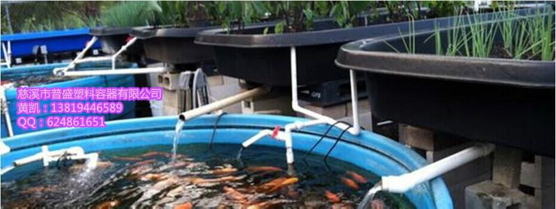 供應水產(chǎn)養(yǎng)殖桶魚類養(yǎng)殖車間化水產(chǎn)桶