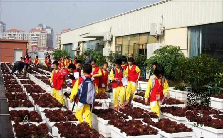 绿家绿自动调湿节能种植箱多项专利图片